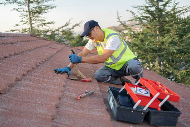 Best Slate Roofing Contractor  in Tonto Basin, AZ
